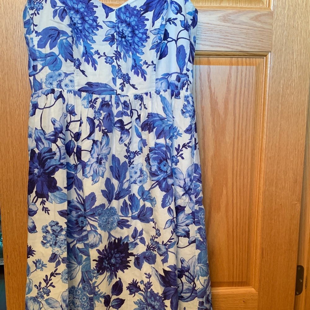 Floral Blue and White Dress
